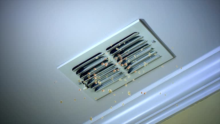 Air Duct Mold Removal in NY
