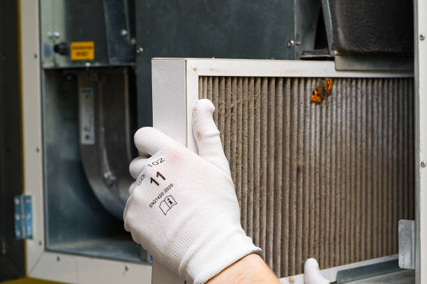 Best Local Air Duct Cleaning Services  in Roslyn Heights, NY